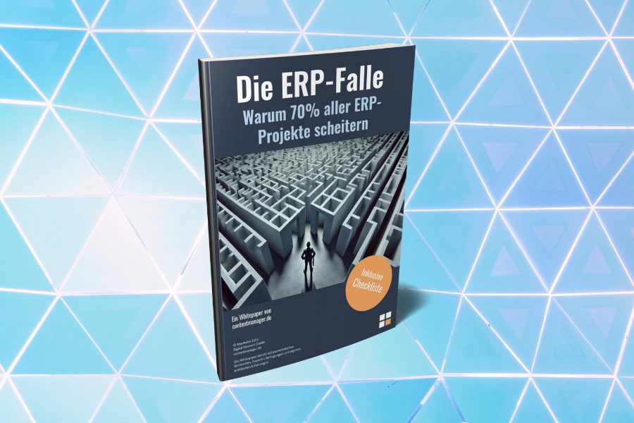 Whitepaper: Fehler vermeiden bei der ERP-Einführung