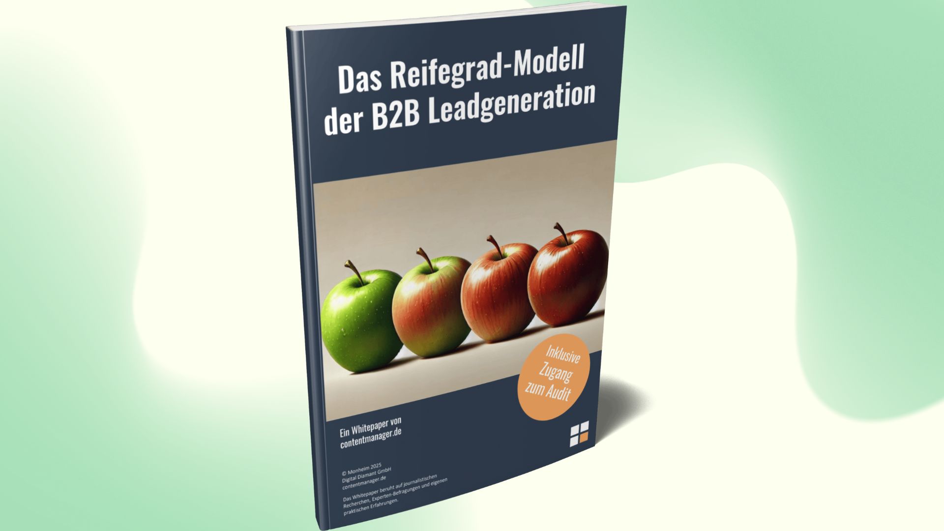 Das Reifegrad-Modell der B2B Leadgenerierung